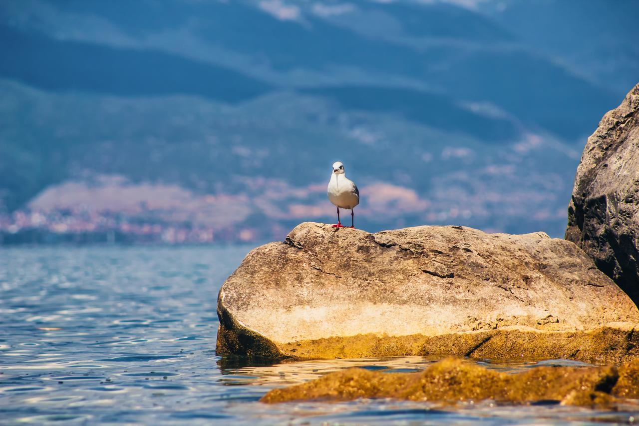 Park Lakeside Ochryda Zewnętrze zdjęcie